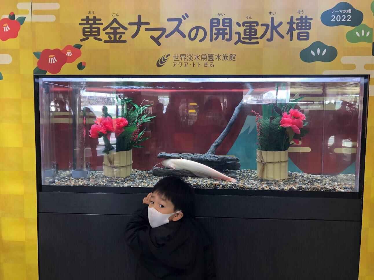 eb533159700699e5b321e229dc6c01abe45a0b37.jpg