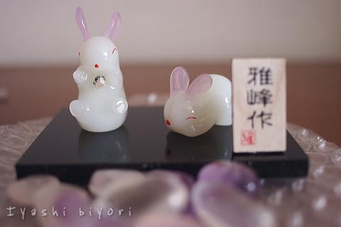 ウサギ.jpg