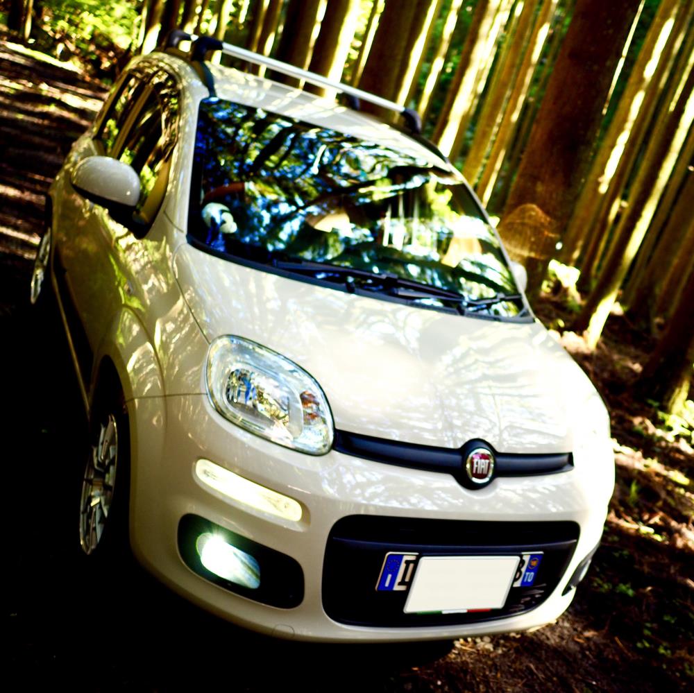 PANDA