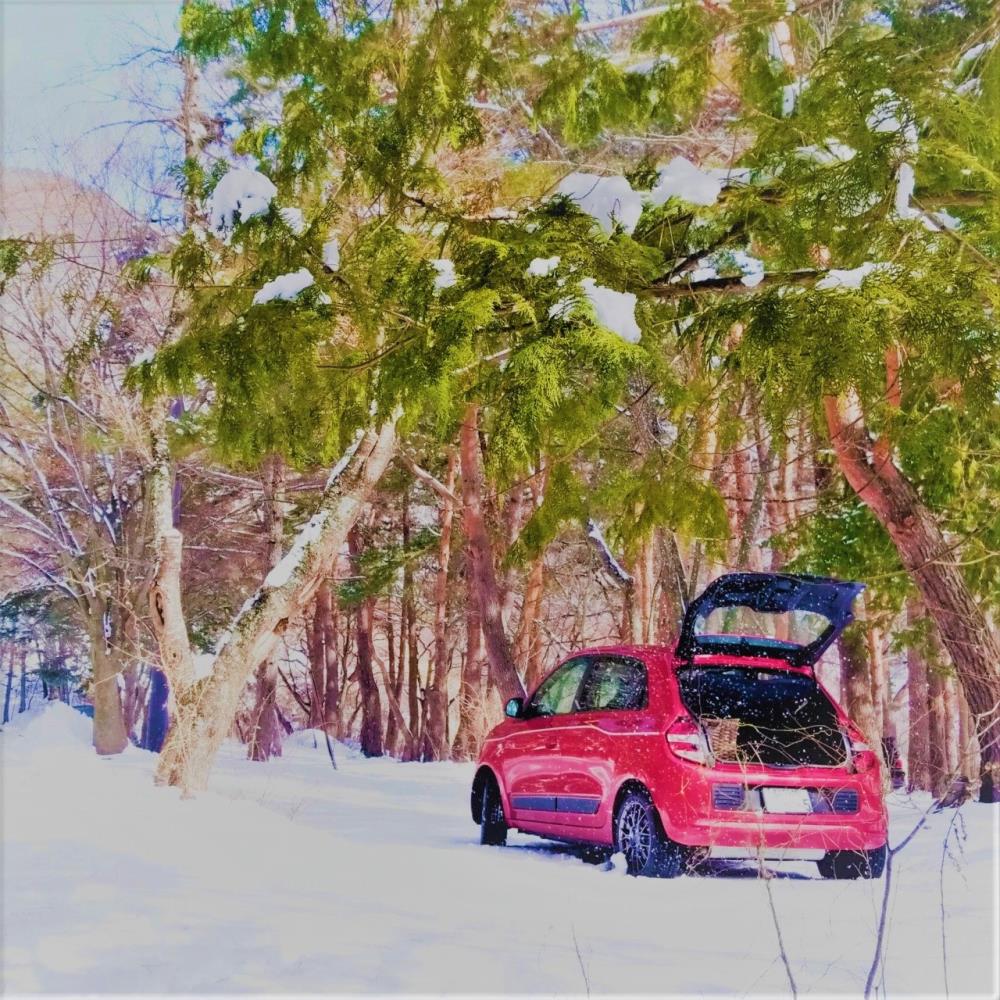 twingo