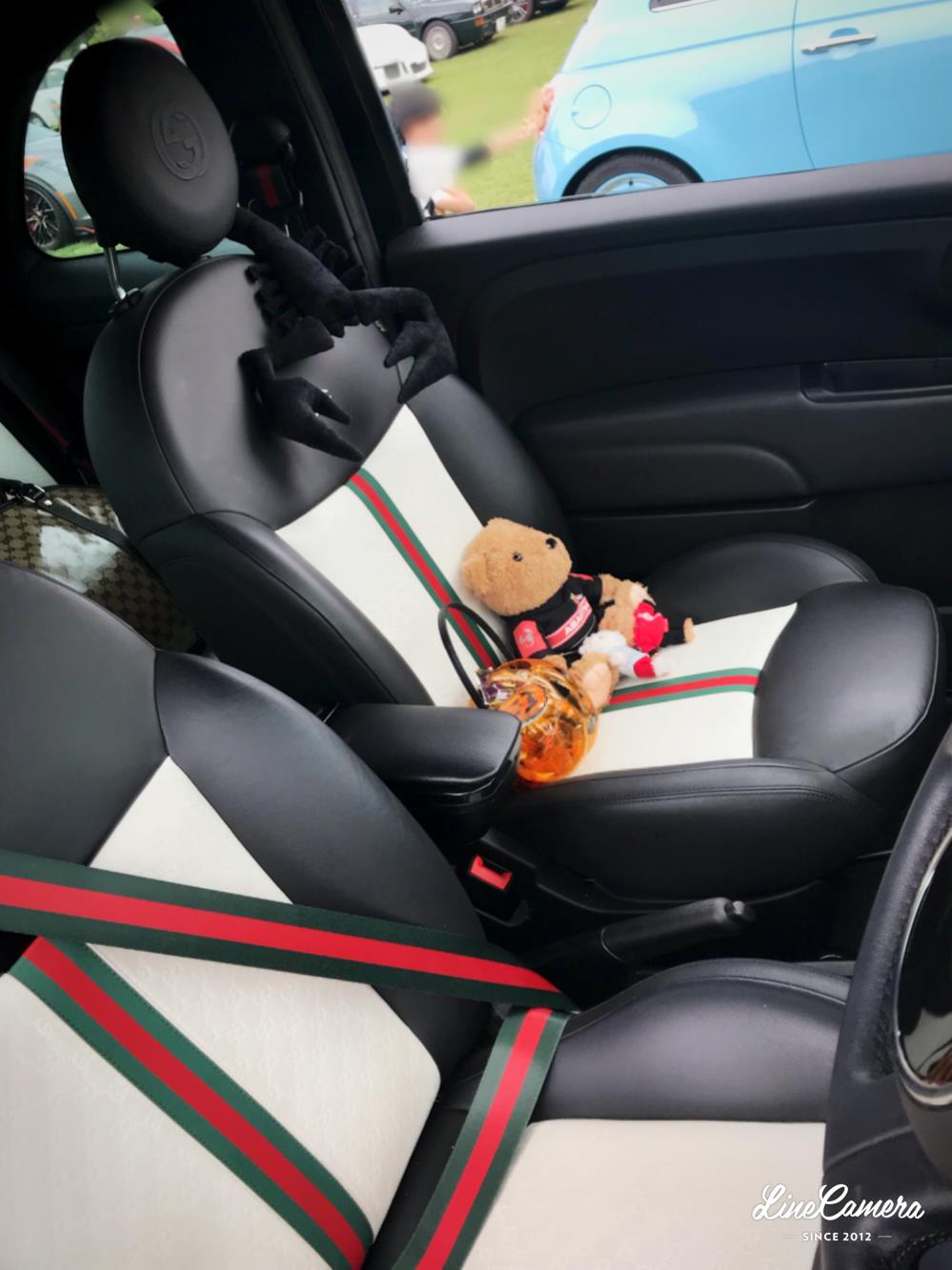 FIAT 500 by GUCCI