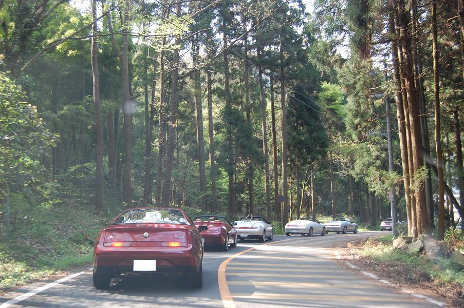 0419075.jpg