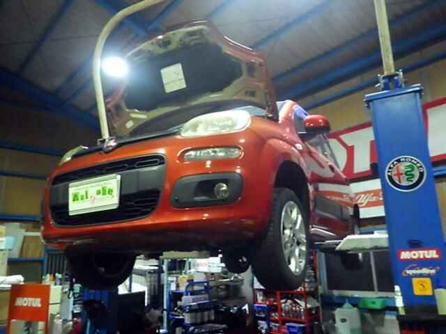 0205737_20250421203132_506_P_Pit_Blog_00.jpg