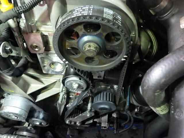 0205737_20250425202738_776_P_Pit_Blog_00.jpg
