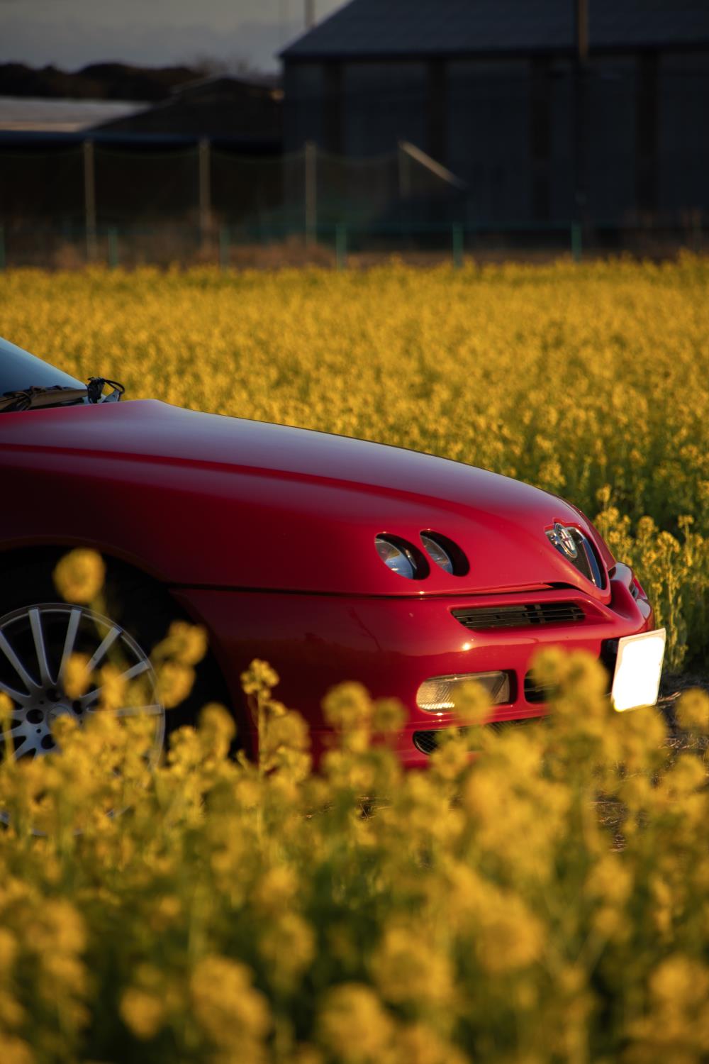 GTV