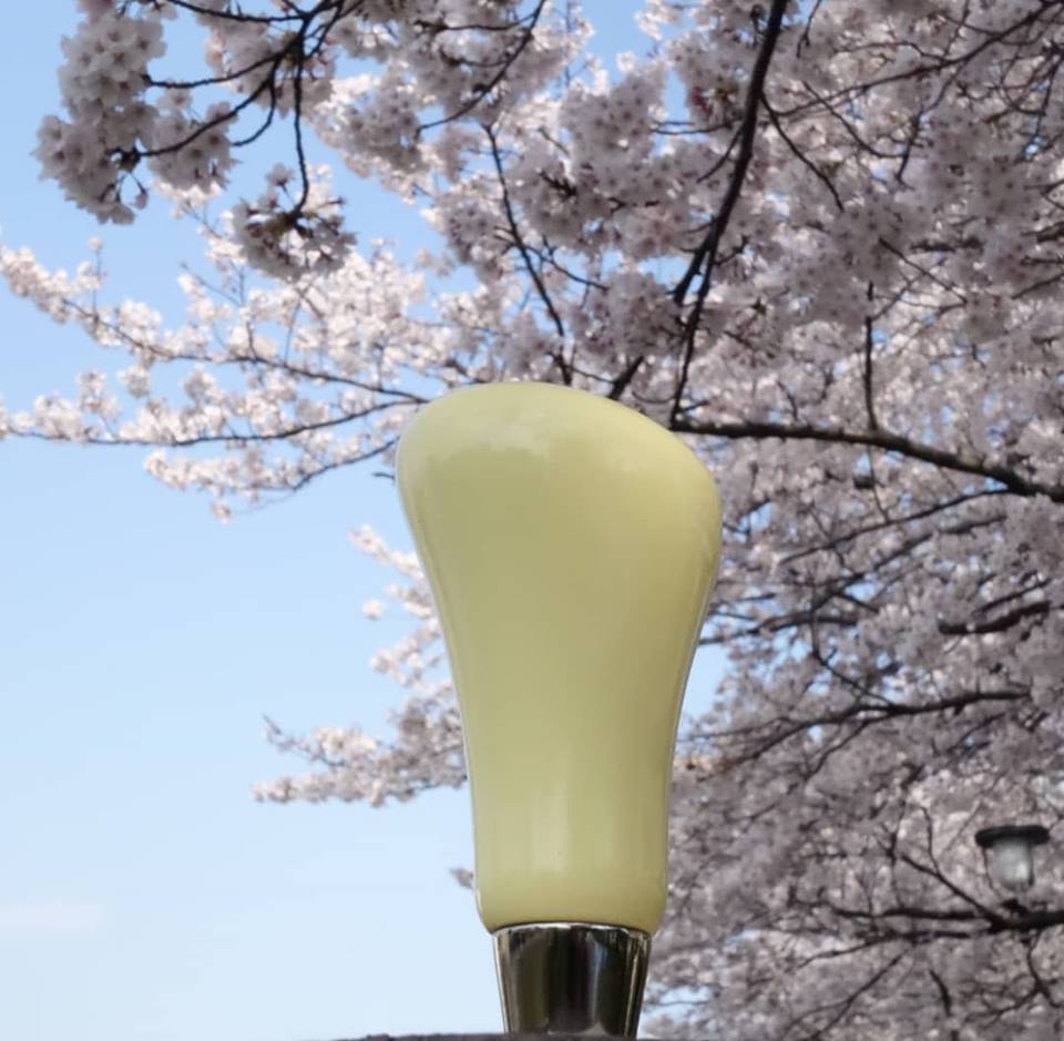 56337064_2385314468407174_7984356551294976000_n.jpg