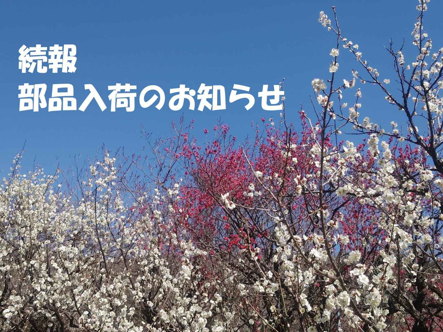 250309115508952-002-1536x1152.jpg