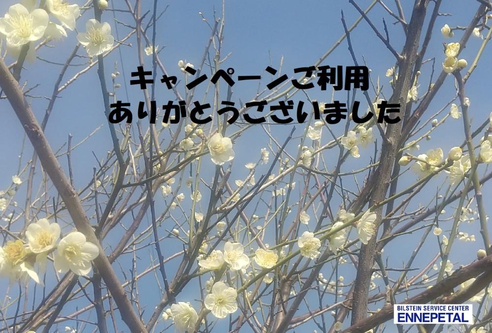 3月梅.jpg