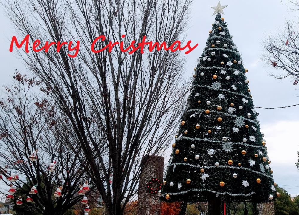 Cristmas-1536x1108.jpg