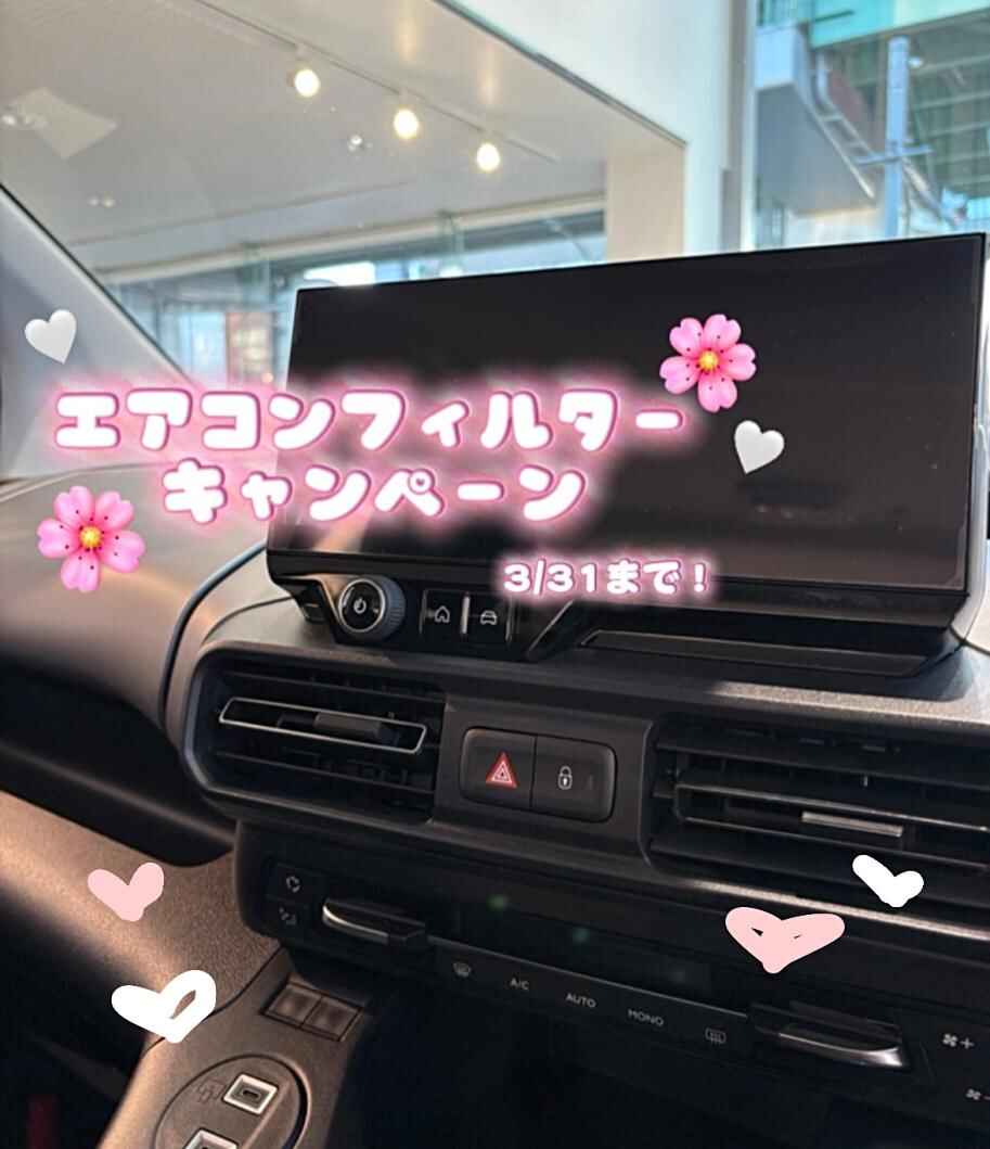 e7bp8ocuv.jpeg
