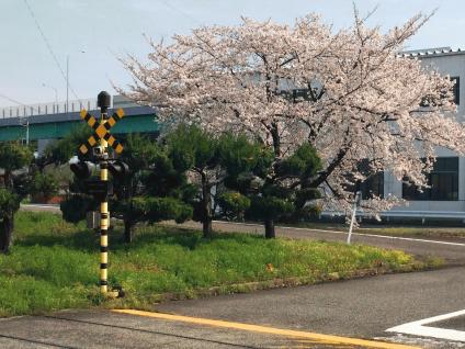 RailroadCrossing4-thumb-424x318-37055.jpg