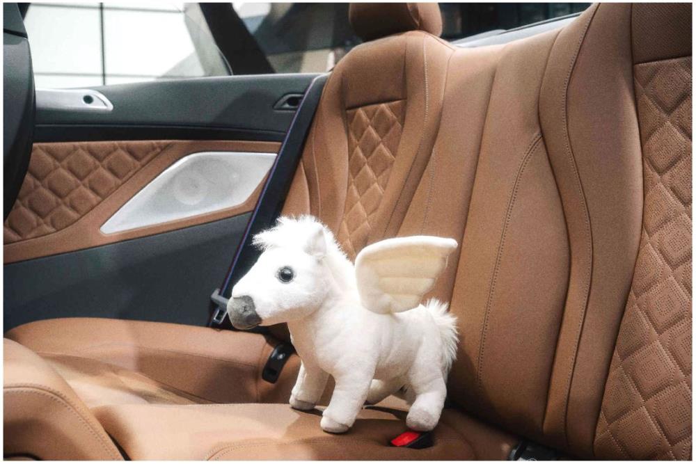 PEGGIEINCAR2.jpg