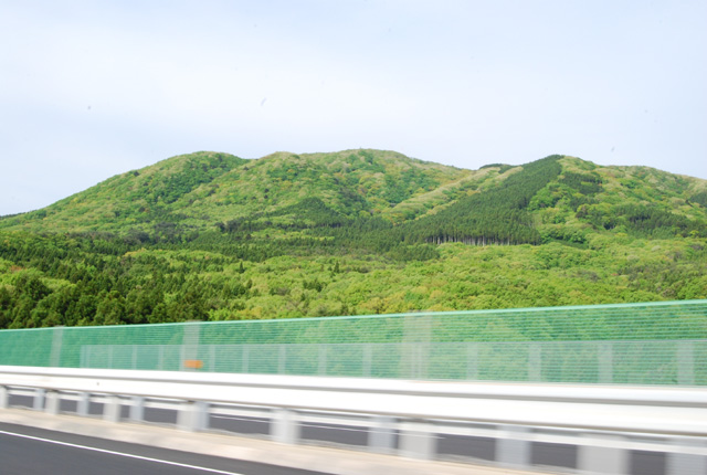 DSC_3492.jpg