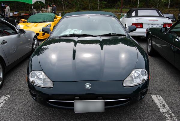 DSC_4186.jpg