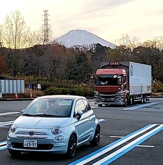 マーレ君