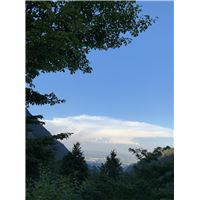 IMG_2646.jpg