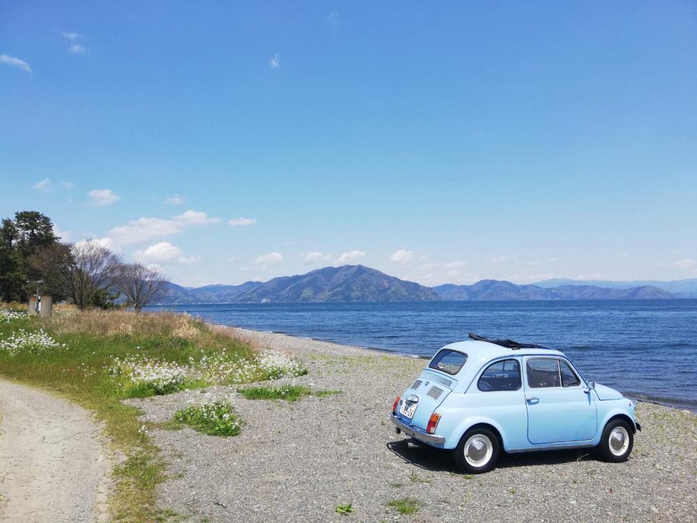 うっとこのこ