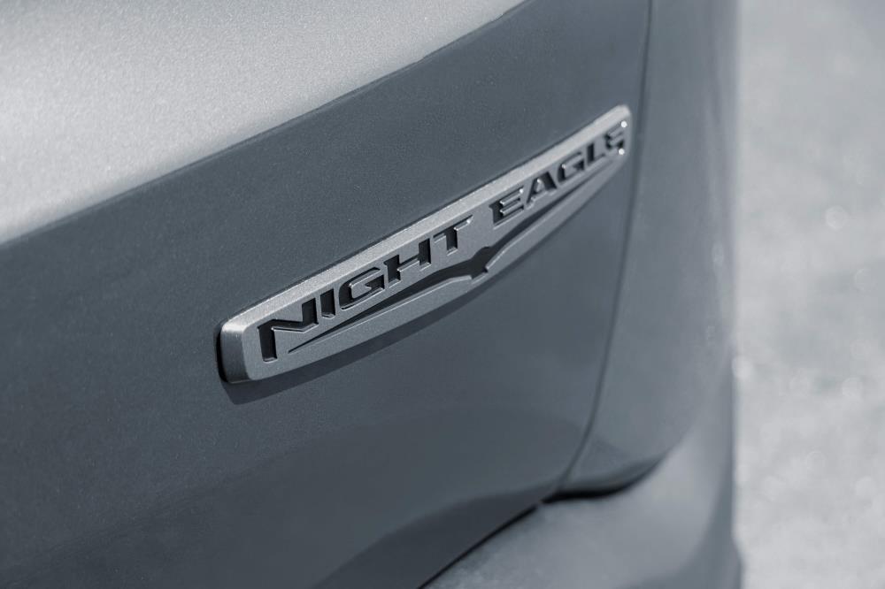 NightEagle_badge.jpg