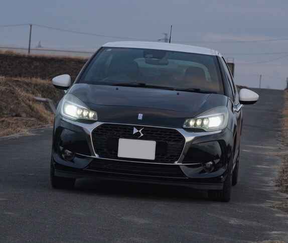 DS3